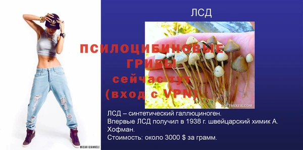 винт Надым