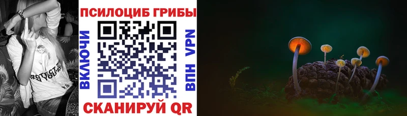 даркнет сайт  Рассказово  Галлюциногенные грибы Cubensis 
