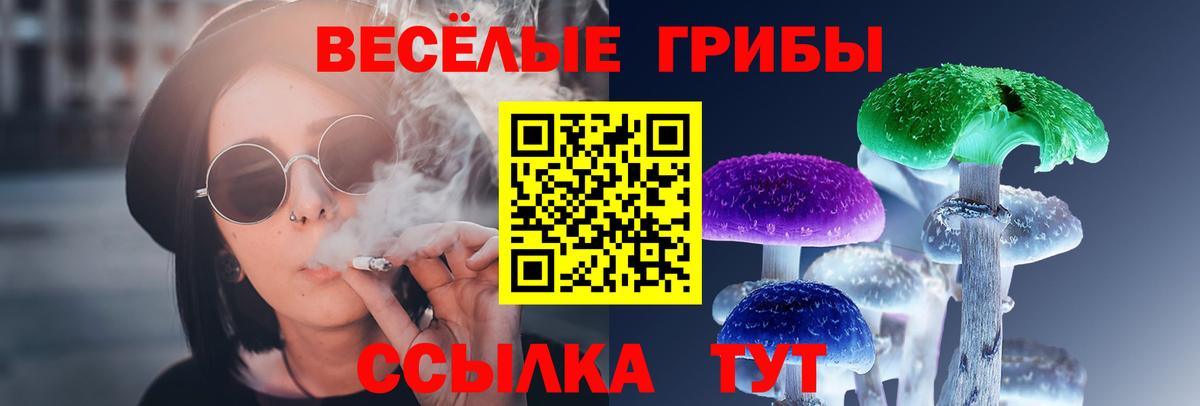 Псилоцибиновые грибы Psilocybe Рассказово